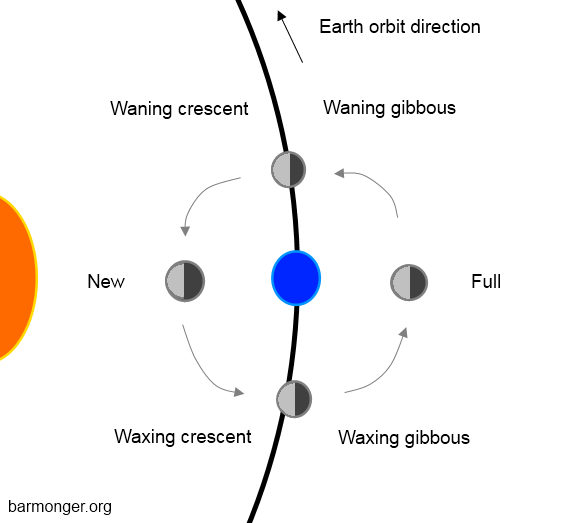 eye diagram for kids. diagram moon phases